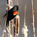 Juanita Reed Photo 34