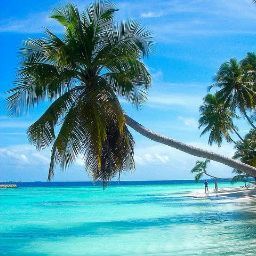 John Haight Photo 13