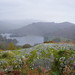 Janet Moss Photo 38
