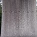 Clark Abraham Photo 10