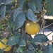 Sharon Groves Photo 28