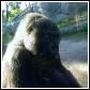 Robyn Hubbard Photo 22