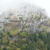 Jason Mccarthy Photo 35 Jason Mccarthy Photo 35