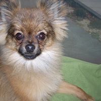 Janet Osbourn Photo 2