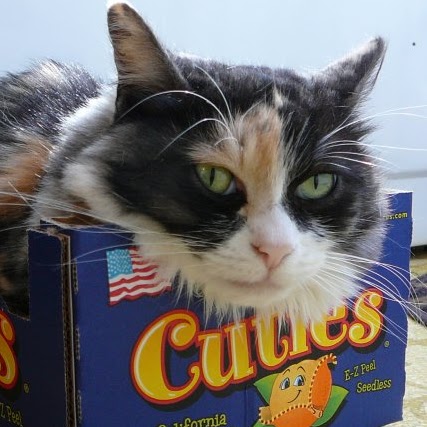 Kathleen Frank Photo 18