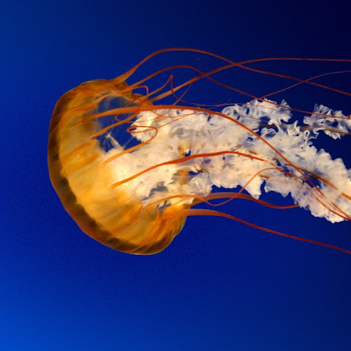 Jordan Maynard Photo 10