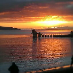 Richard Healy Photo 42 Richard Healy Photo 42