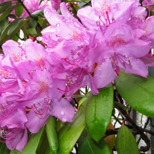 Stephanie Milano Photo 21