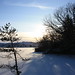 Stephen Wester Photo 7