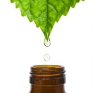 Ann Barrett Photo 10