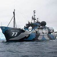 Thomas Swan Photo 17 Thomas Swan Photo 17