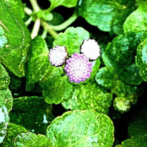 Jennifer Kozlowski Photo 11