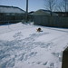 Casey Wells Photo 12