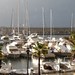 Marina White Photo 31