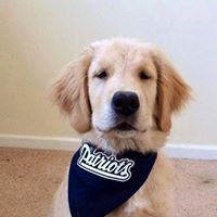 Katie Newman Photo 28