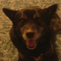 Bill Summers Photo 22