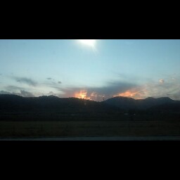 Cindy Ackerman Photo 15