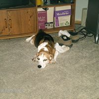 William Bloom Photo 28 William Bloom Photo 28