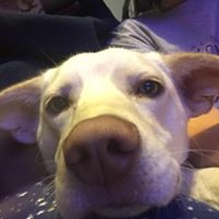 Eileen Devine Photo 29