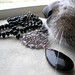 Kathy Hardy Photo 20