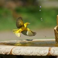 Jimmy Watts Photo 37