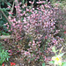 Kathryn Hardy Photo 27