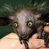 John Garrison Photo 20