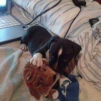 Julian Ward Photo 26