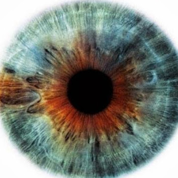 Jerry Chance Photo 10