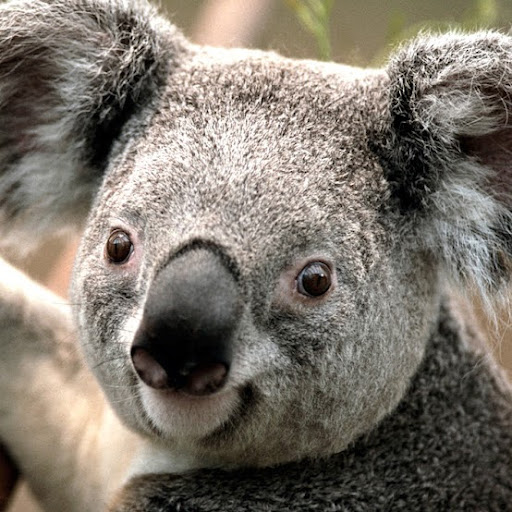 Jeannette Johnson Photo 31