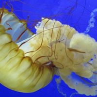 Kathryn Adair Photo 16