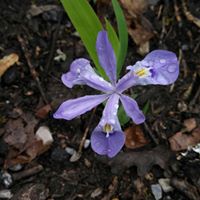 Sara Martindale Photo 13