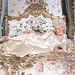 Antoinette Byrnes Photo 2