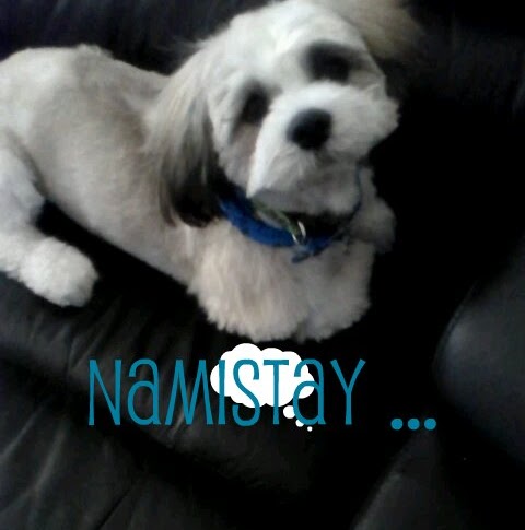 Claudette Ferris Photo 8