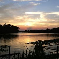 David Sibley Photo 21