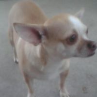 Kathleen Springer Photo 22