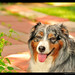 Mike Schaefer Photo 12
