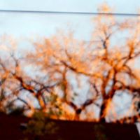 Brenda Kerns Photo 10