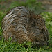 Jerry Thornton Photo 32