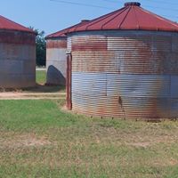 David Clemmons Photo 24