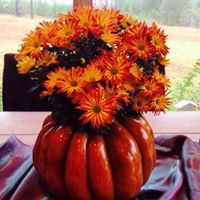 Susan Martindale Photo 13