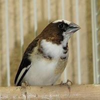 Eric Hubbard Photo 48