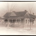 Ann Sears Photo 12