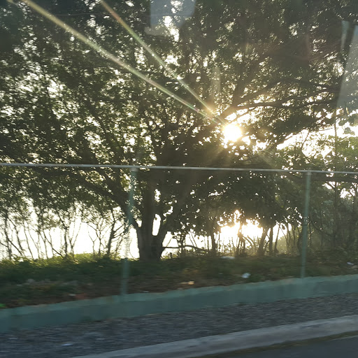 Francisco Vallejo Photo 32