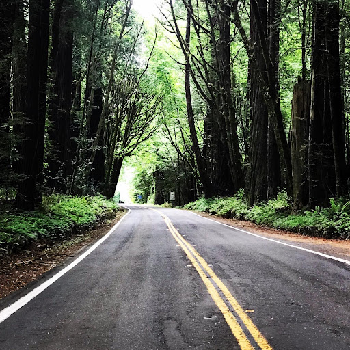 Denise Dailey Photo 14