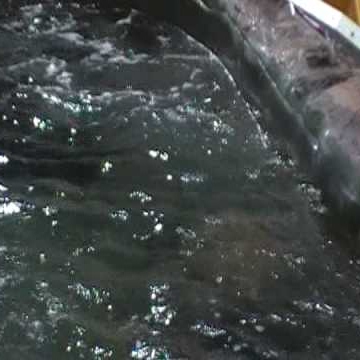 Lisa Conroy Photo 34