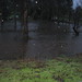 Ramona Rains Photo 6