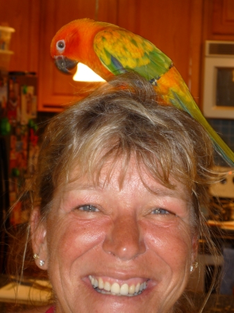 Debbie Nelson Photo 25