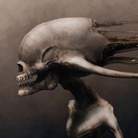 Rob Stanley Photo 20