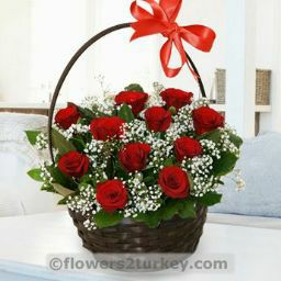 Laura Quittem Photo 3